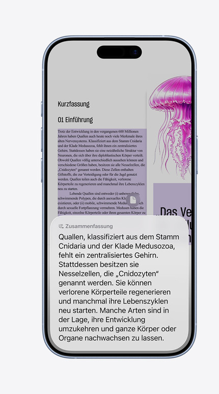 Ein iPhone Display zeigt, wie die visuelle Intelligenz zur Inneneinrichtung verwendet wird