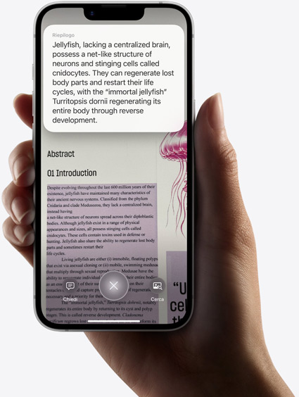Una mano che tiene un iPhone 16e con i risultati di una ricerca fatta usando l’intelligenza visiva.